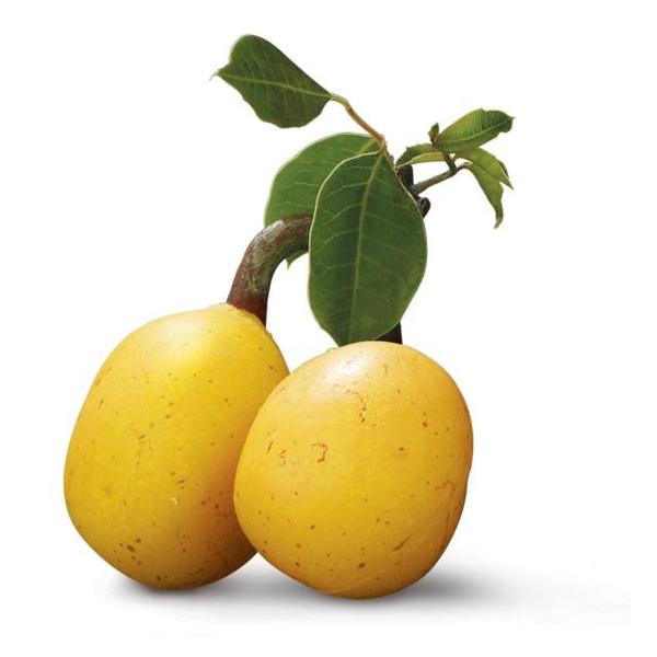 Avocados