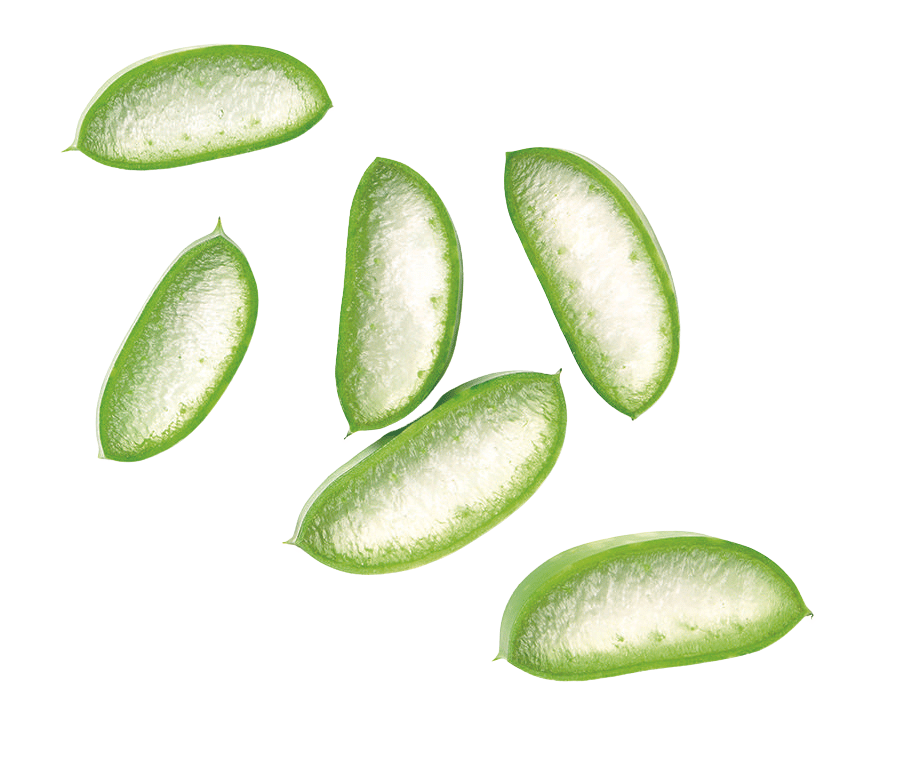 Avocados